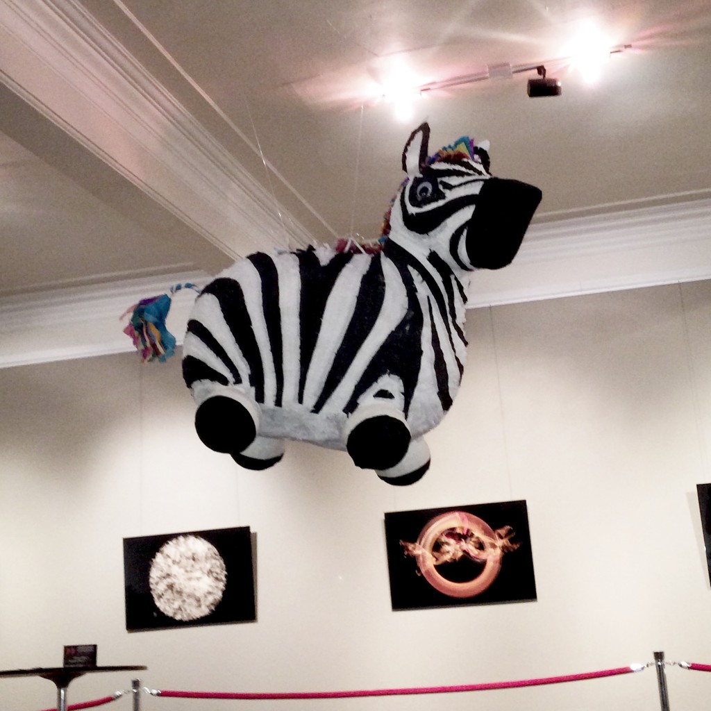 The Pinata Project - Zebra Pinata