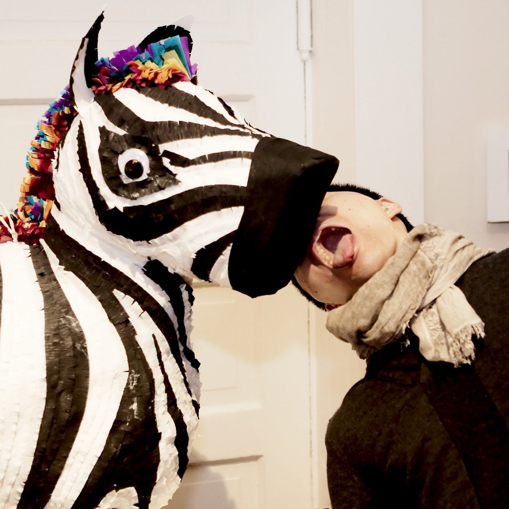 The Pinata Project - Derek and Zebra